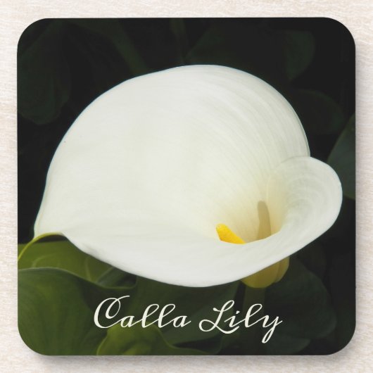 Elegant White Calla Lily Bloom Floral Bier Onderzetter (Voorkant)