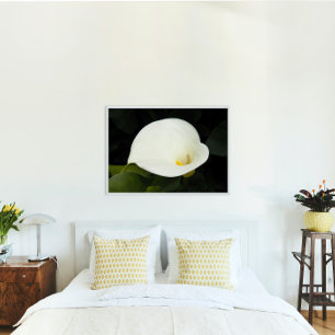 Elegant White Calla Lily Bloom Floral Perfect Poster