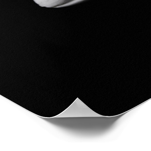 Elegant White Daisy Flower Poster (Hoek)