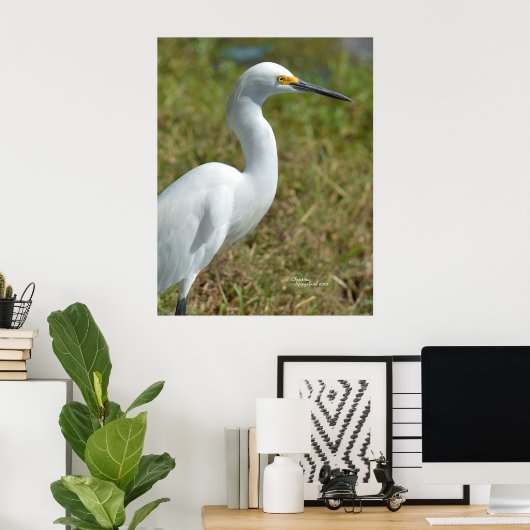 Elegant white Egret bird Poster (Thuiskantoor)