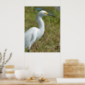 Elegant white Egret bird Poster (Keuken)