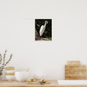 Elegant white Egret bird Poster (Keuken)