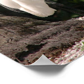 Elegant white Egret bird Poster (Hoek)
