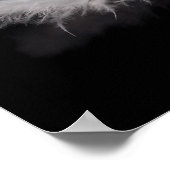 Elegant White Feather op een zwarte achtergrond Poster (Hoek)