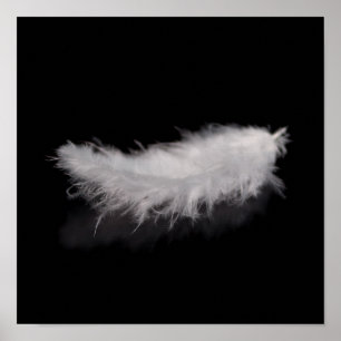 Elegant White Feather op een zwarte achtergrond Poster