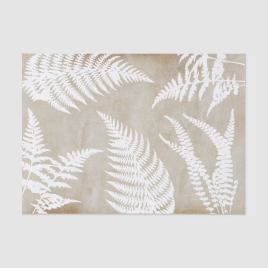 Elegant White Fern over kraftpapier Tissuepapier (Voorkant)