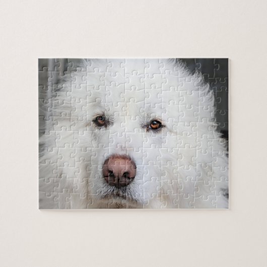 Elegant White Great Pyreneeën Dog Puzzle Legpuzzel (Horizontaal)