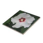 Elegant White Hibiscus Flower Photo Tegeltje (Zijkant)