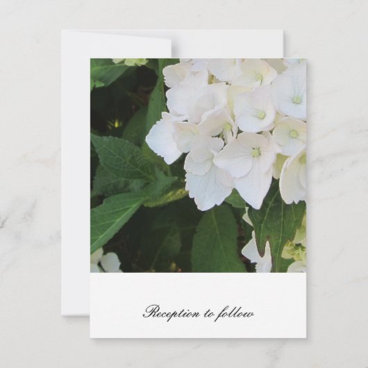 Elegant White Hydrangea Wedding Invitation Kaart (Achterkant)