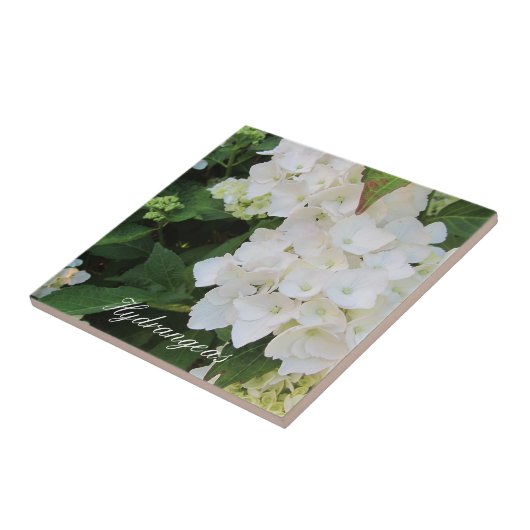 Elegant White Hydrangeas Tegeltje (Zijkant)