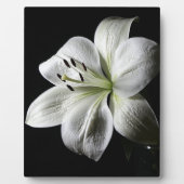 Elegant White Lily Photo Plaque Fotoplaat (Voorkant)