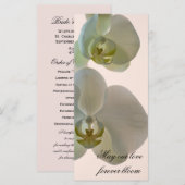 Elegant White Orchid Wedding Programmakaart (Voorkant / Achterkant)