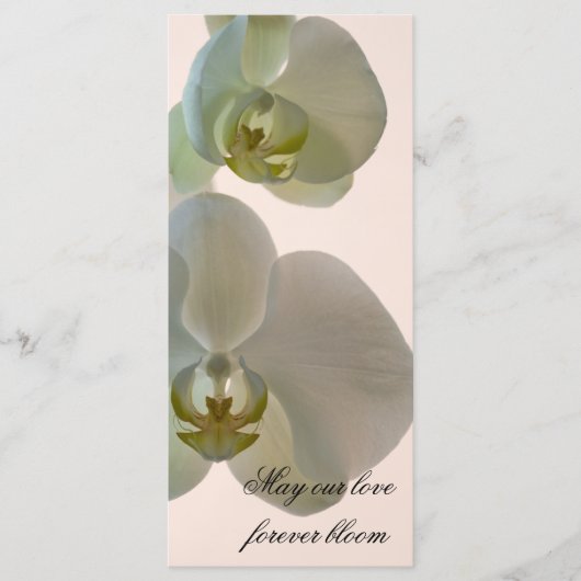 Elegant White Orchid Wedding Programmakaart (Voorkant)