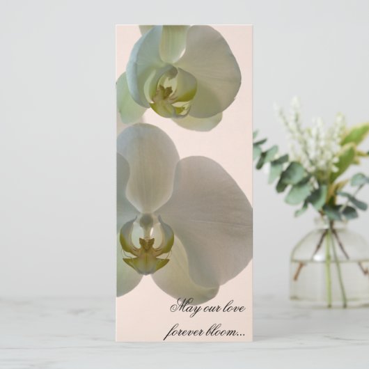 Elegant White Orchids over roze bruiloft Programmakaart (Staand voorkant)