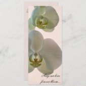 Elegant White Orchids over roze bruiloft Programmakaart (Voorkant / Achterkant)