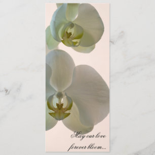 Elegant White Orchids over roze bruiloft Programmakaart