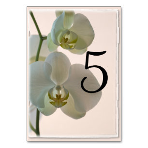 Elegant White Orchids Table Numbers Kaart