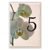 Elegant White Orchids Table Numbers Kaart (Voorkant)