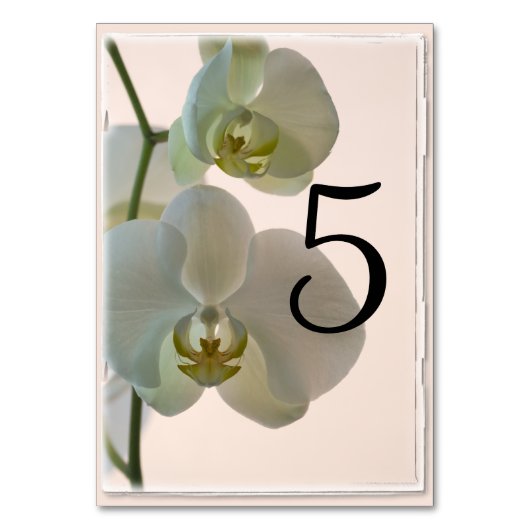 Elegant White Orchids Table Numbers Kaart (Voorkant)
