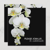 Elegant White Orchids Wedding/Any-Occasion Invitae Kaart (Voorkant / Achterkant)