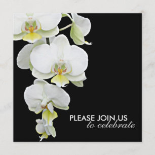 Elegant White Orchids Wedding/Any-Occasion Invitae Kaart