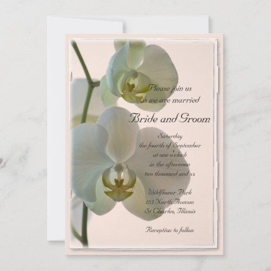 Elegant White Orchids Wedding Kaart (Voorkant)