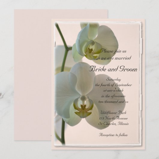 Elegant White Orchids Wedding Kaart (Voorkant / Achterkant)