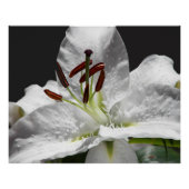 Elegant White Oriental Lily Floral Perfect Poster (Voorkant)