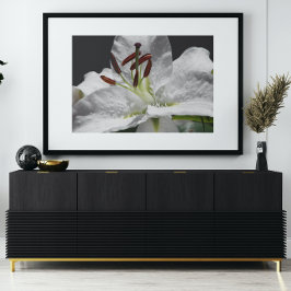 Elegant White Oriental Lily Floral Perfect Poster