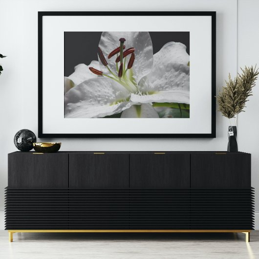 Elegant White Oriental Lily Floral Perfect Poster