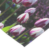 Elegant White Paars Flaming Flag Triumph Tulips Korte Tafelloper (Hoek)