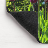 Elegant White Paars Flaming Flag Triumph Tulips Muismat (Hoek)