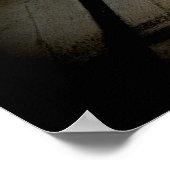 Elegant white peacock vintage bird rustic photo poster (Hoek)