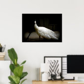 Elegant white peacock vintage bird rustic photo poster (Thuiskantoor)