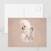 Elegant White Poodle Pastel Collage Briefkaart (Voorkant / Achterkant)