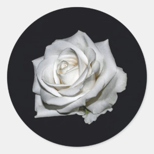 Elegant White Rose Floral Foto Ronde Sticker