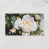 Elegant white rose flower bruiloft nieuw adres visitekaartje (Achterkant)