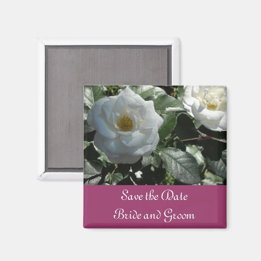 Elegant White Rose Save the Date Magneet (Voorkant / Achterkant)