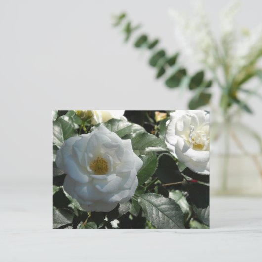 Elegant White Roses Briefkaart (Staand voorkant)