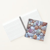 Elegant White Seashells Artwork | Laptop Notitieboek (Binnen)