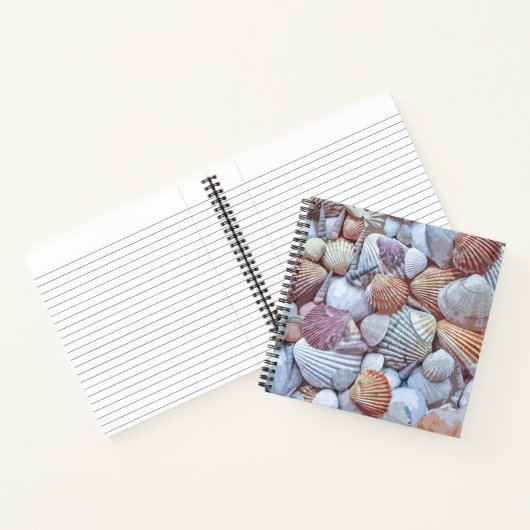 Elegant White Seashells Artwork | Laptop Notitieboek (Binnen)