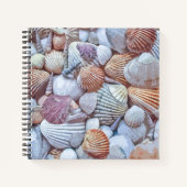 Elegant White Seashells Artwork | Laptop Notitieboek (Voorkant)