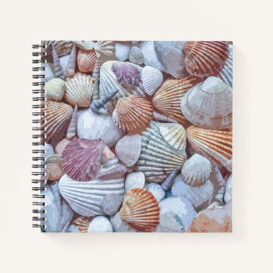 Elegant White Seashells Artwork  Laptop Notitieboek