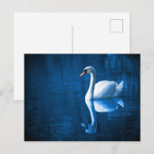 Elegant White Swan Briefkaart (Voorkant / Achterkant)