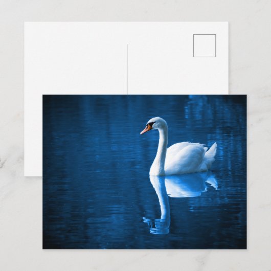 Elegant White Swan Briefkaart (Voorkant / Achterkant)