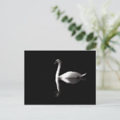 Elegant White Swan Reflection op Black Lake Briefkaart (Staand voorkant)