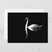 Elegant White Swan Reflection op Black Lake Briefkaart (Voorkant / Achterkant)