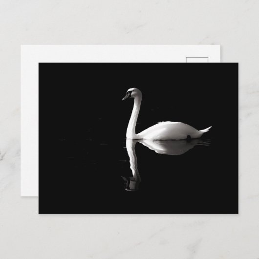 Elegant White Swan Reflection op Black Lake Briefkaart (Voorkant / Achterkant)