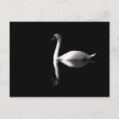 Elegant White Swan Reflection op Black Lake Briefkaart (Voorkant)