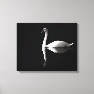 Elegant White Swan Reflection op Black Lake Canvas Afdruk
